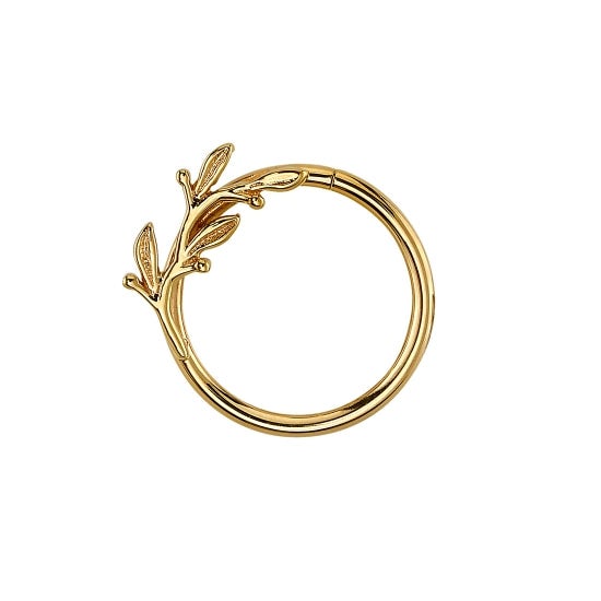 Bvla gold hoop sale